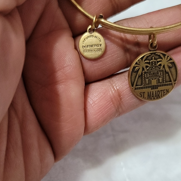 ALEX AND ANI St. Maarten Charm Bangle - Picture 4 of 4